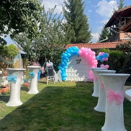 Bahçede Gender Reveal Kokteyl Organizasyonu - Organizasyon Ajans