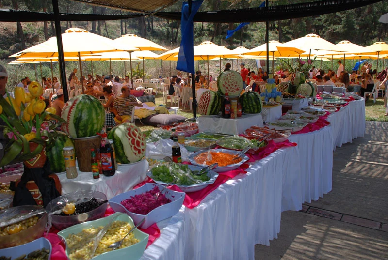 Piknik organizasyonu için açık büfe servis masası, yemek düzeni ve gölgelik alan kurulumu